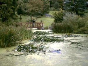 Avenham Park, Preston, Lancashire — one of Preston's most popular green spaces